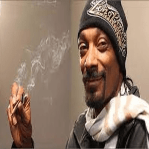 SmokeDislikers